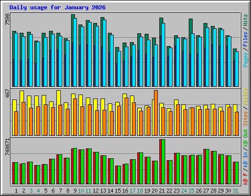 Daily usage for January 2026