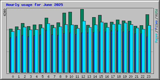 Hourly usage for June 2025