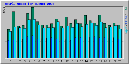 Hourly usage for August 2025