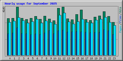 Hourly usage for September 2025