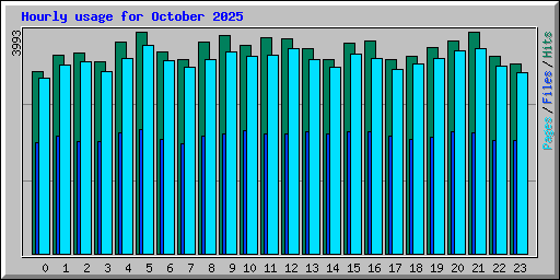 Hourly usage for October 2025