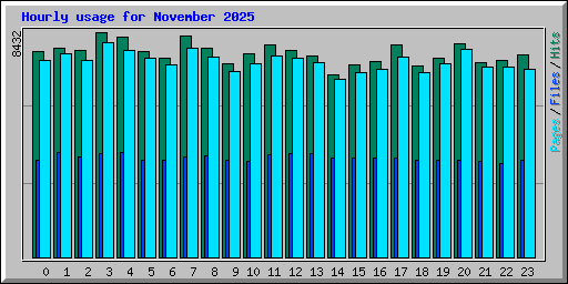 Hourly usage for November 2025