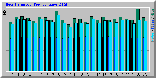Hourly usage for January 2026