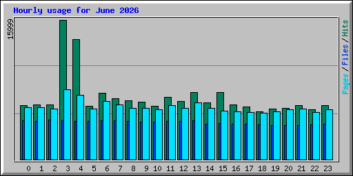 Hourly usage for June 2026