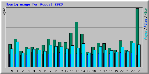 Hourly usage for August 2026